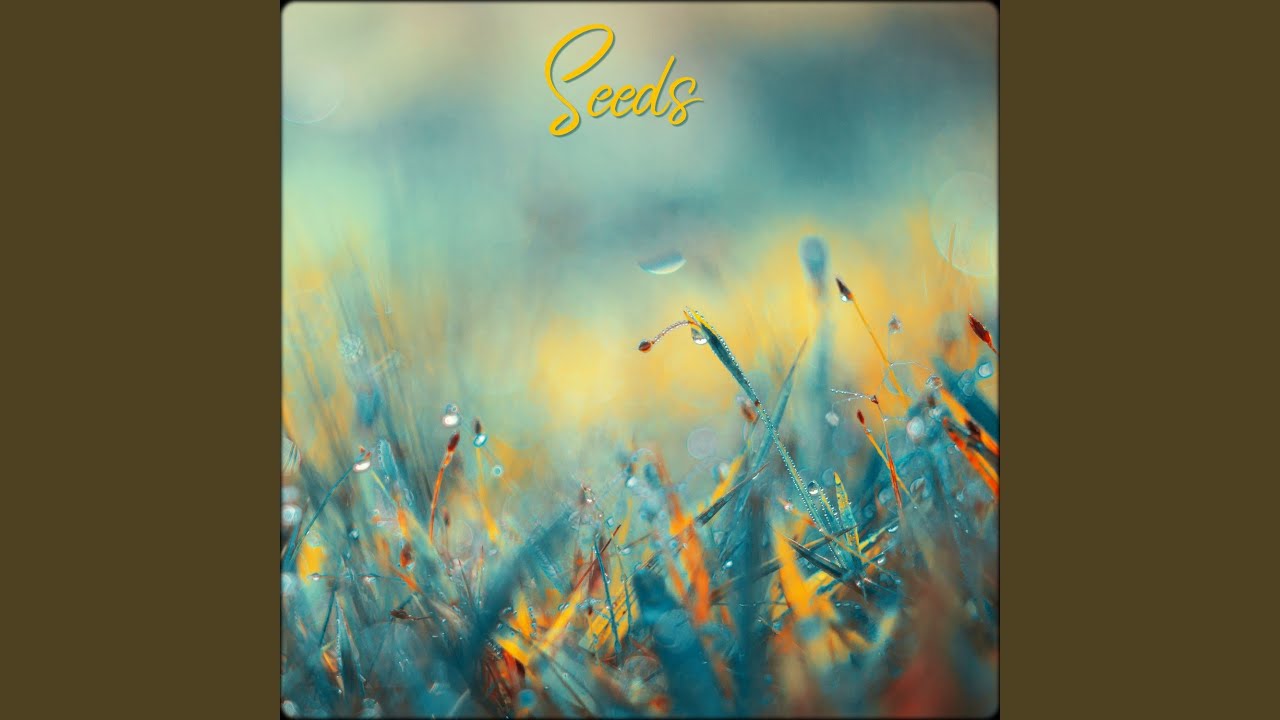 Watch Seeds on YouTube Watch Seeds on YouTube