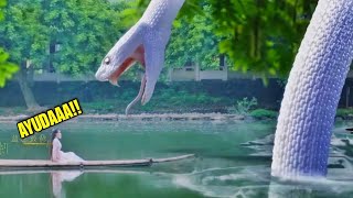 La Chica se Enamoro de una Serpiente Gigante que salvo su Vida CHICO SERPIENTE 2