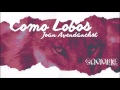 Cómo lobos (aullando a la luna)