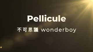 [Instrumental] 不可思議 wonderboy - Pellicule【88bpm】