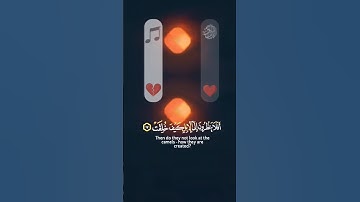 قدرة الله ♥️ GOD'S CREATION سورة الغاشية AMAZING SUN #قرآن#quran#explore#fyp#اكسبلور #deen#دعاء#الله
