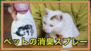 【ペットの消臭スプレー】可愛い猫ちゃんの匂いが気になったら⁉︎☆If you are worried about the smell of a cute cat ⁉︎