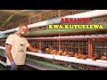 NILIANZA UFUGAJI WA KUKU CHINI Leo Natumia Local Cages Za MKULIMA SMART