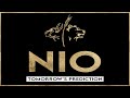 NIO Stock - Prediction for Tomorrow, Jan. 20th