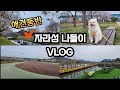 애견동반 아이들과 함께 가평 자라섬 나들이 | 주말에 아이와 가볼만한곳 | 경기도 가평 자라섬 여행 | 여행 브이로그