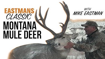 Mule Deer Rut Hunting! with Mike Eastman (Eastmans