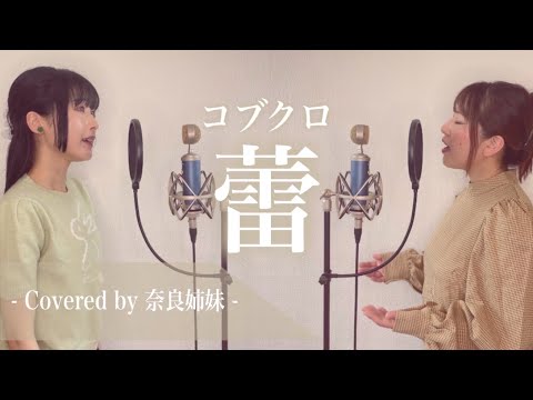 【姉妹でハモる】蕾 / コブクロ Covered by 奈良姉妹