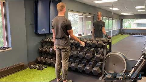 Bicep Curl (Rotational)