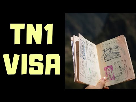 Should I Use TN1 Visa to be a CRA in USA?