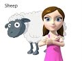 Sheep - ASL sign for Sheep - Animated