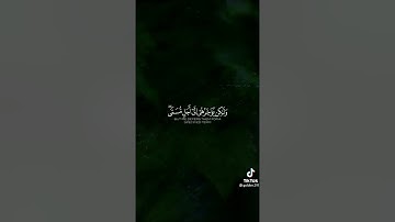 تلاوة هادئة تريح الاعصاب/عبدالرحمن مسعد/حالات حالات واتس أب/💚😴