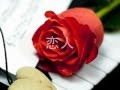 【恋人】 森山良子(カバー)