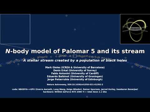 N-body simulation of the Galactic globular cluster Palomar 5 and its stream