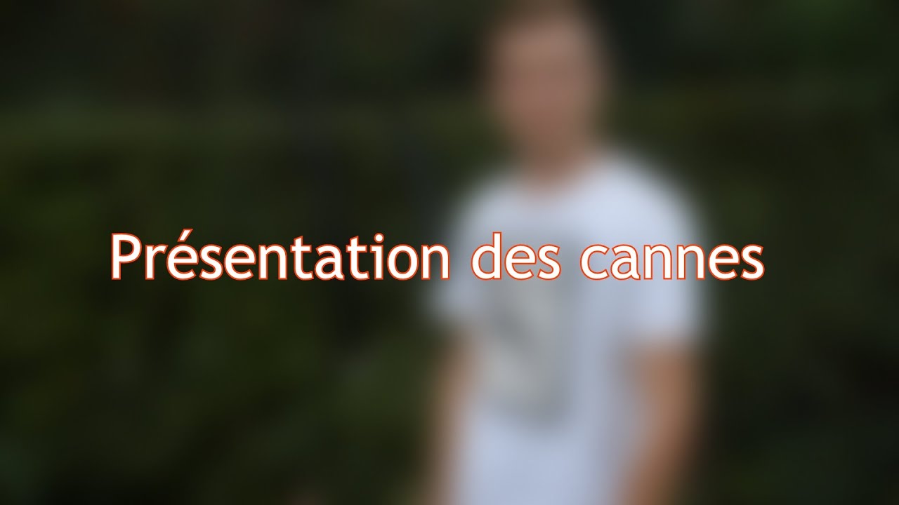Présentation cannes a Sandre et Perche - HD