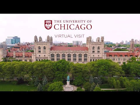 Video: Ar uchicago turi bakalauro verslą?