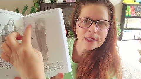 Stroke Recovery, Leg Stability and Walking Gait