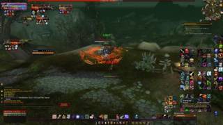 World Of Warcraft dueling a druid