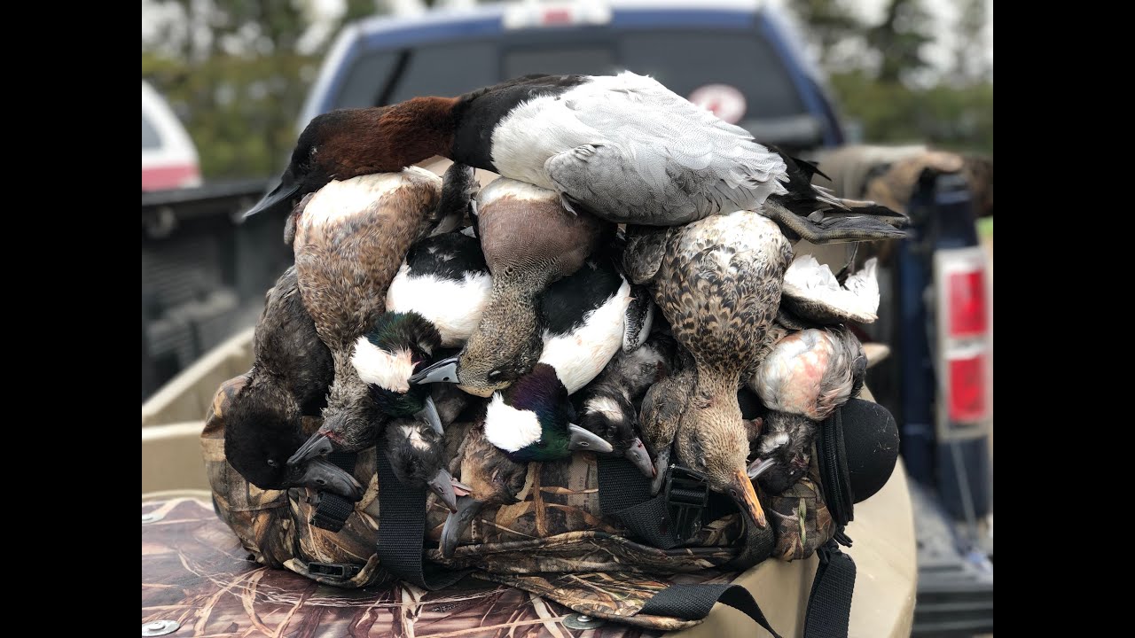 Annual North Dakota Duck Hunt 2019 YouTube