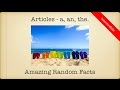 Understanding Articles: A, An, and The