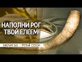 #30 Наполни рог твой елеем! - Алексей Осокин - Библия 365 (3 сезон)