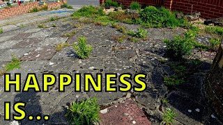 *THIS ELDERLY PENSIONER* NEEDED MY HELP BUT CAN I? (PRESSURE WASHING TRANSFORMATION!)
