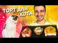 СДЕЛАЛИ 3 ТОРТА ДЛЯ КОТИКА :3 / ДЕНЬ РОЖДЕНИЯ МЭТТА