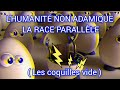 Lhumanit non adamique  les coquilles vide