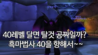 와우 디스커버리 흑마법사 만렙을 향해서~~ 흑마법사 40탈것 공짜일까요?