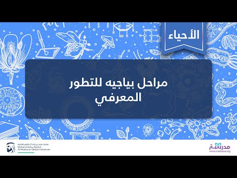 فيديو: ما هو الترتيب الصحيح لمراحل تطور بياجيه؟