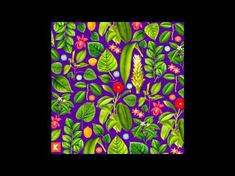 Kings Kaleidoscope - Ache