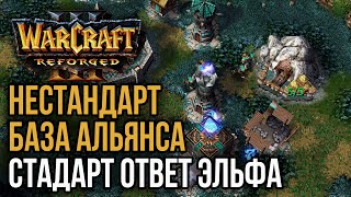 НЕСТАНДАРТ БАЗА АЛЬЯНСА - СТАНДАРТ ОТВЕТ ЭЛЬФА: Warcraft 3 Reforged