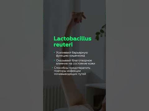 Лучшие пробиотики / полезные свойства пробиотиков - YouTube