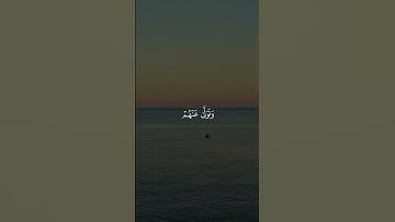 (فَصَبْرٌ جَمِيلٌ) سورة يوسف • إسلام صبحي 🤍.#اجر_لي_ولك #راحة_نفسية