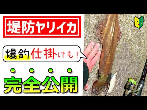 堤防ヤリイカ 名人2人と三浦半島ヤリイカ釣り ウキ釣り仕掛けも細かく解説 Youtube