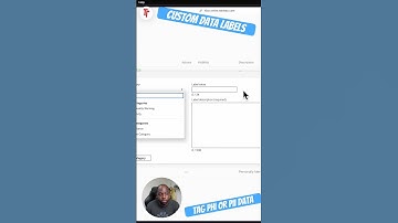 Custom data labels in Tableau. Tag PII or PHI data. #data #tableau #analytics