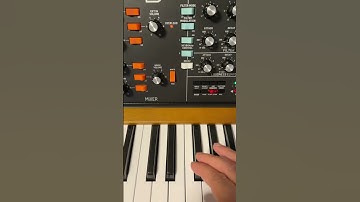 Synth poly d sequencer