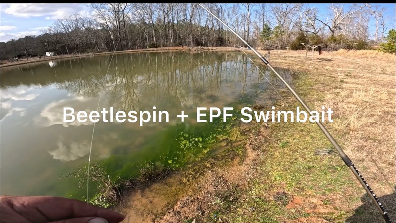 Beetlespin + EPF Swimbait