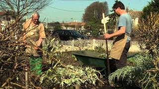 Ecomatisme : Le jardin en lasagnes