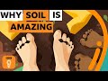The Hidden World Beneath Our Feet: Unveiling Soil's Secrets and Its Importance