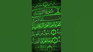 آيات من الذكر الحكيم القرآن الكريم سورة البينة محمد الفقيه