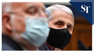 Trump didn't ask us to slow virus testing: Fauci