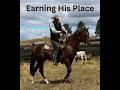 A Young Stud's Proving Grounds