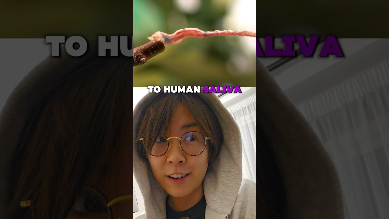 Chameleon Saliva vs Human Saliva: What's the difference? #physics #science