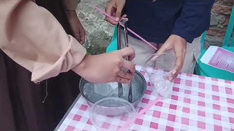 Tugas Bahasa Indonesia : Membuat jus mangga