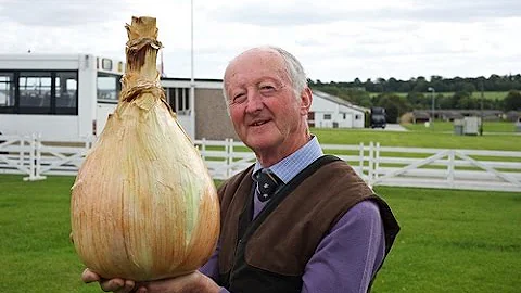 Quanto pesa il pomodoro più grande del mondo?