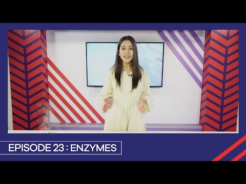 Learn with PGC | Smart Learning EP 23 | Enzymes