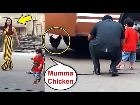 Taimur Ali Khan Playing With Chicken While Mom Kareena Kapoor Laughs