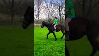 Cantering bareback!!!😃🐎💕 #farmlife #horselover #fusion #horse #canter #epic #viral #viralshorts