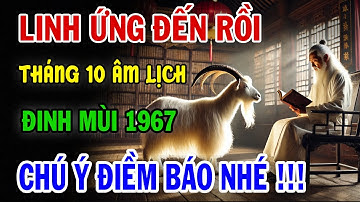 CHẤN ĐỘNG | Tử Vi tháng 10 ÂM LỊCH, Đinh Mùi 1967: VẬN HẠN và CƠ HỘI Ra Sao