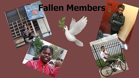 NY Drill: Bronx Deaths Explained